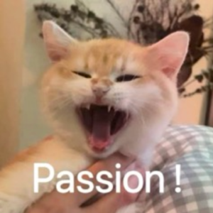 情志问题|有人不喜欢付航的Passion？可能是五行相冲吧