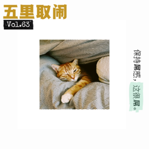 Vol.63：公司绝缘体，不巧我就是。