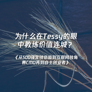 《从500强营销总监到互联网独角兽CMO再到自主创业者》为什么在Tessy的眼中教练价值连城？