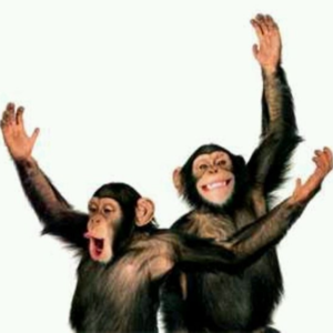 013-最好的团队状态：每个人都足够强壮