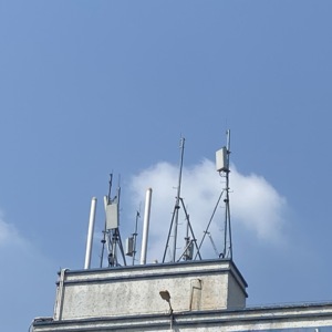 Vol.12 春天就该出去转转顺便做个核酸