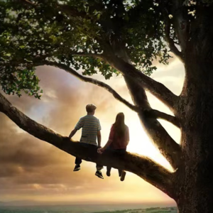 vol07|《怦然心动》——斯人若彩虹