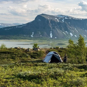 第9期-人生如旷野-从大梦到金钱观