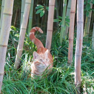 光里见 E07 | 萌萌：我总是跟随幸福感，走向天命