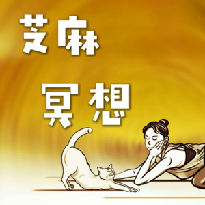 vol.001【芝麻冥想】 |简单认知 呼吸冥想初体验
