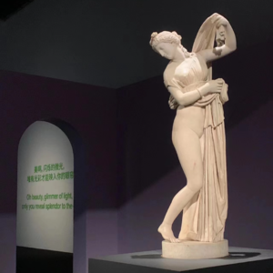 052-美学之辩：古希腊古罗马雕像的美，是“历史的偶然”还是“无可替代的极致”？