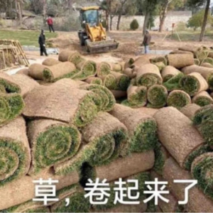VOL.14 以不卷破万卷,为何那么难?