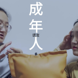 【好书分享】成年人的谎言生活