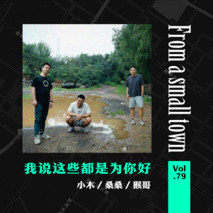 cover of episode Vol.79 都是为你好，我也开始说这句话了