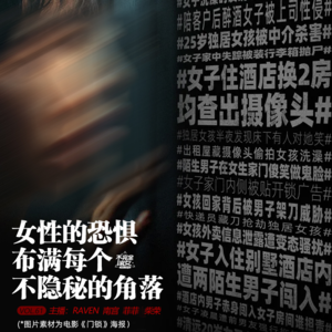 vol.061女性的恐惧布满每一个不隐秘的角落-不完全淑女