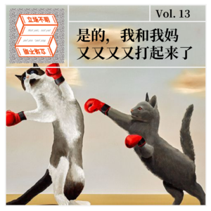 Vol.13 是的，我和我妈又又又又打起来了