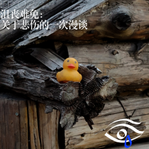 【十二只眼EP.02】沮丧难免：一次关于悲伤的漫谈