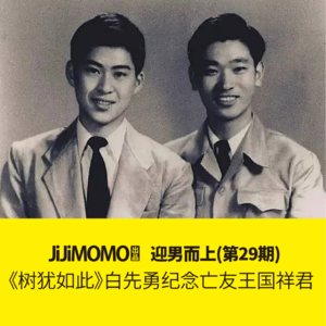 29-《树犹如此》白先勇纪念亡友王国祥君