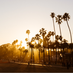 21. 探底播客制作暨听众来信第一期