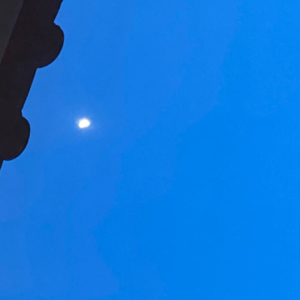 晚睡的鲁米 ｜诗与胡说