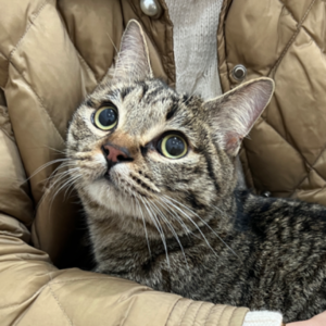 VOL.008 没有弃更的我们来汇报近况了