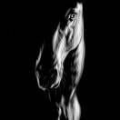 《五分钟商学院》阅读