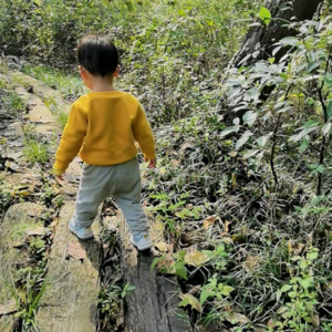 002 | 孩子2岁了,我又叹气又欢喜