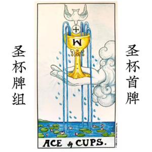 圣杯首牌—丰盛与庆祝|快来喝一口赐予祝福的圣水吧!