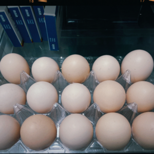 Vol03 罗马工作第四年，“海漂”生活还香吗？