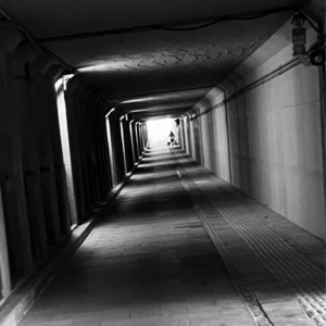 vol.012 两个曾经的校队辩手痛诉：辩论给我们带来的后遗症