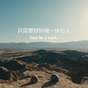 Vol.5【庖丁解鹅】《妈的多重宇宙》：你的妈我的妈好像不一样