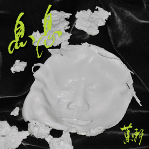 鬼台特别节目：月球表面岩石采样