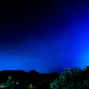 【17】突然之间我变成了一只老狗