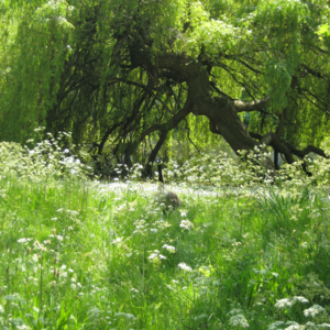 open call上集：我们在讨论open call时在讨论什么？