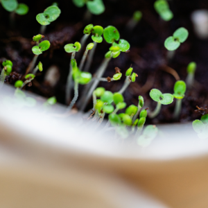 09.潮汕版：聊聊最近在做什么吧！