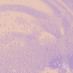 EP131：「微醺访谈」酒前酒后，哪个才是真的我？