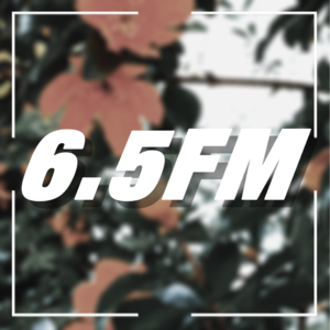 vol.2 你也焦虑吗？一起去散步吧