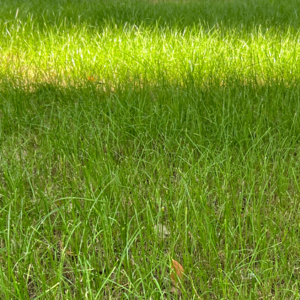 Ep 01. 在Pod Jam相遇的三个女孩子