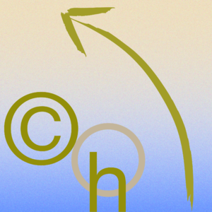 Vol.13 “但其实我每天集中注意力也只有五小时”