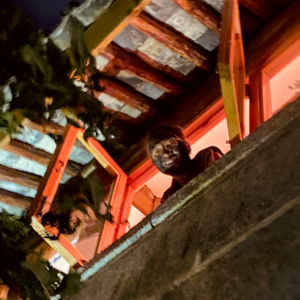 Vol.2 偶然之旅：和DrawY聊聊她的大理奇遇 (上)