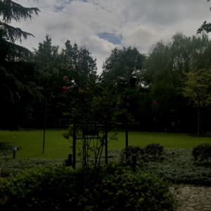 鬼台特别节目：孔雀与野兽