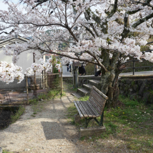 no.73 我跟圣地巡礼并没有失恋，只是异地恋！