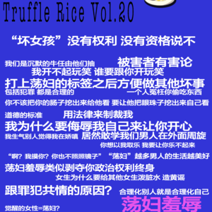 荡妇羞辱｜王心凌当年消失的背后