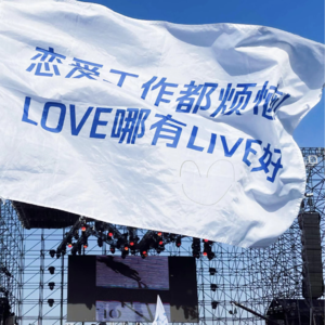 029. 恋爱工作都烦恼 Love哪有Live好 1.0