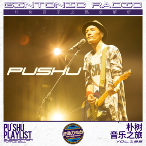 朴树音乐之路 全解析