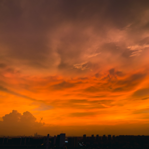 夏夜闲聊 | 我没什么文化 你们随意挪用 【六根不净】 Vol. 015