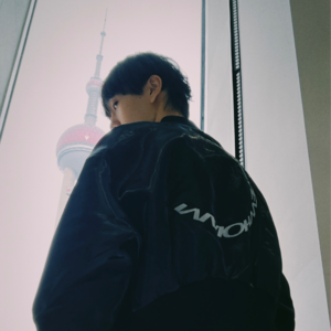 E04.上海的街道，雪山在边上。