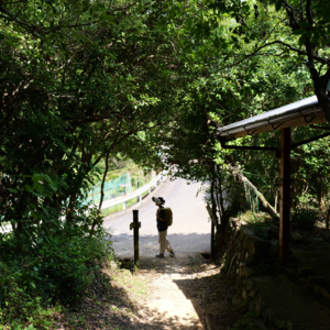 P人友好的熊野古道三日徒步之旅，还想再来一万次！