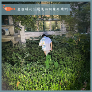 63.崩溃瞬间：这洗面奶辣眼睛啊