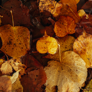 我得了过年上班焦虑症？！内耗人告急！