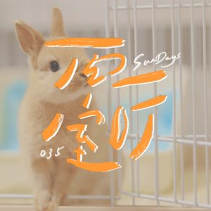 035｜我懂了，心理测试根本不懂我