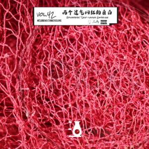 两个过气网红的自白