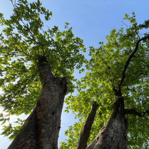 06.应无所住而生其心｜三个不上班灵修人的西溪漫谈