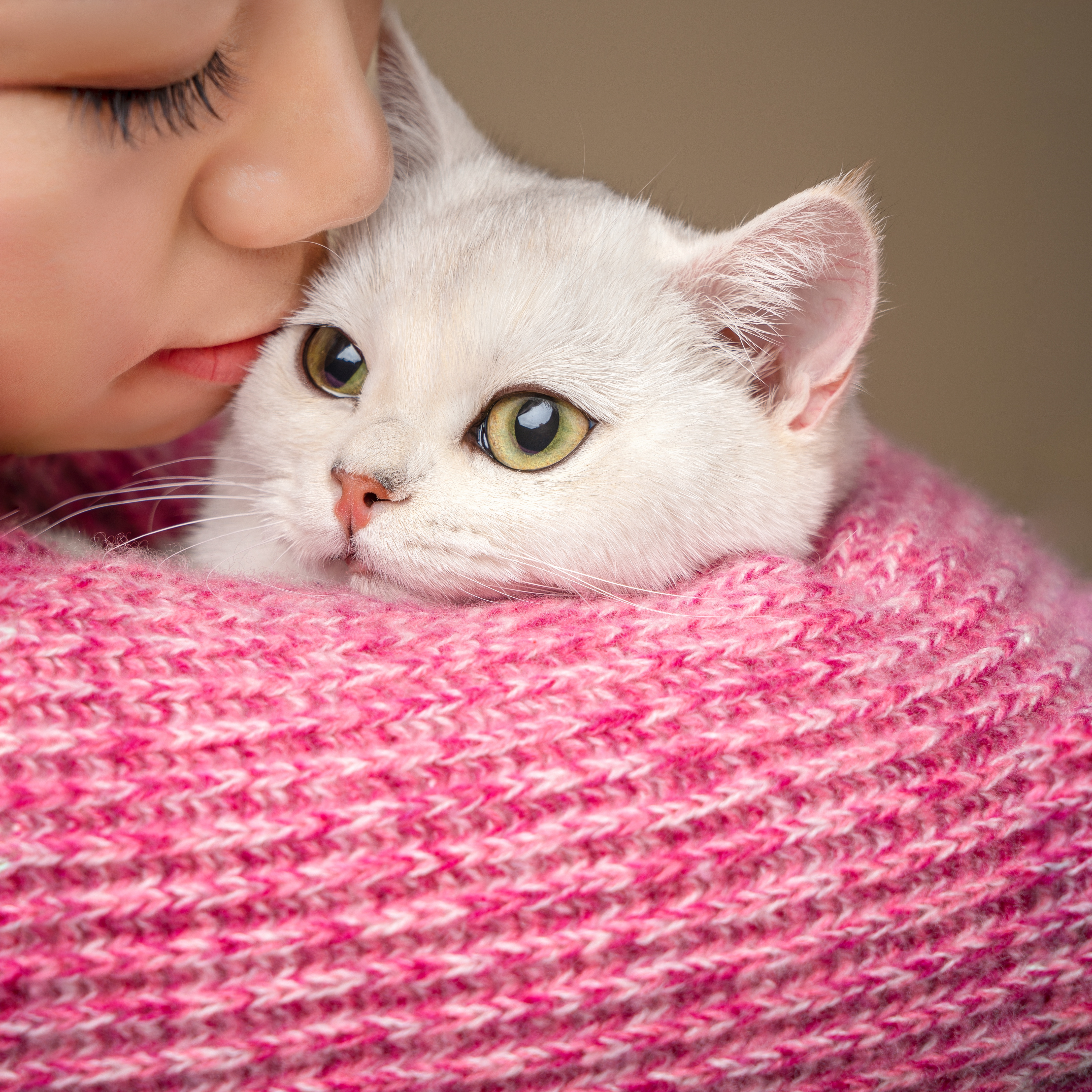 拥抱发生过的创伤，让生命没有遗憾