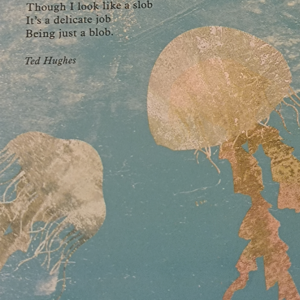 【为你读诗】day 16：Jellyfish